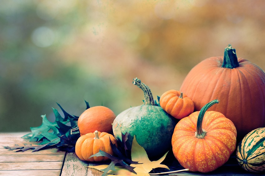 Fall Thanksgiving