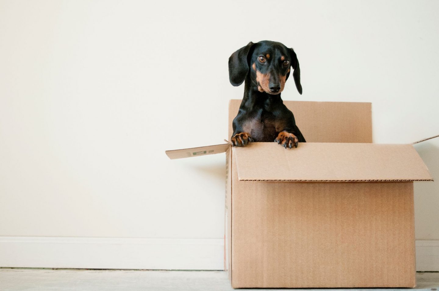 Don’t Forget To Do These 6 Things Before Moving!
