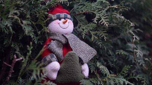 Winter Wear For Children